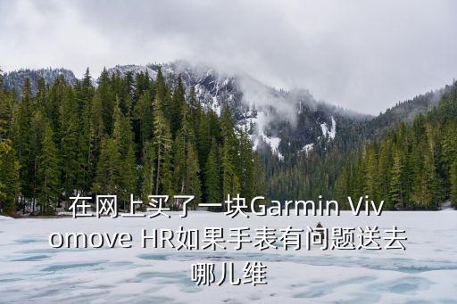在網(wǎng)上買(mǎi)了一塊Garmin Vivomove HR如果手表有問(wèn)題送去哪兒維