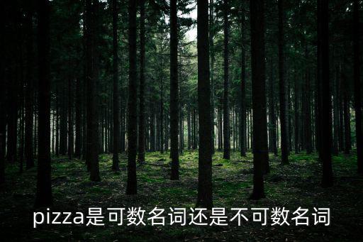 pizza是可數(shù)名詞還是不可數(shù)名詞