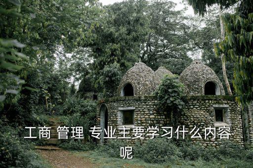  工商 管理 專業主要學習什么內容呢