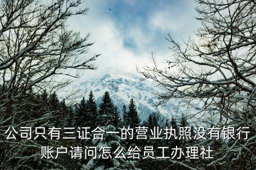 上海法人一證通怎么登陸，請問辦理上海市法人一證通需攜帶的資料里可選部分是不是不帶也可