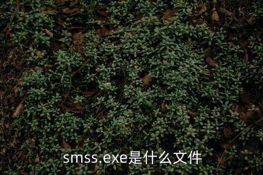  smss.exe是什么文件