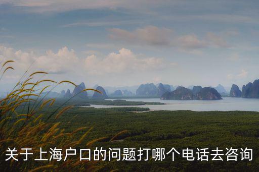 上海人才引進(jìn)落戶咨詢哪個電話，關(guān)于上海戶口的問題打哪個電話去咨詢