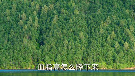 怎么降血脂最有效,血脂改善方式有很多可通過有氧運(yùn)動改善
