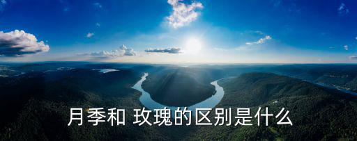  月季和 玫瑰的區別是什么