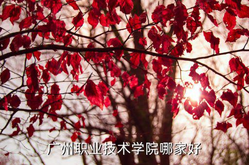 廣州職業(yè)技術(shù)學(xué)院哪家好