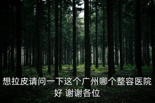 想拉皮請問一下這個廣州哪個整容醫院好 謝謝各位