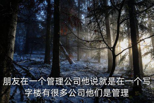朋友在一個管理公司他說就是在一個寫字樓有很多公司他們是管理