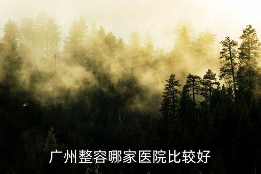 廣州整容哪家醫(yī)院比較好