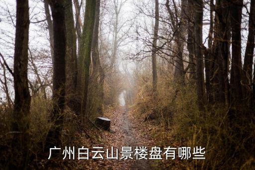 廣州白云山景樓盤(pán)有哪些