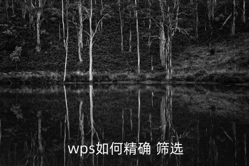  wps如何精確 篩選