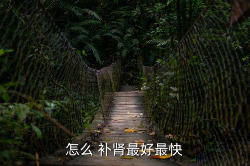 怎么 補腎最好最快