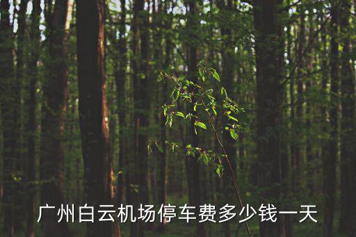 廣州白云機場停車費多少錢一天