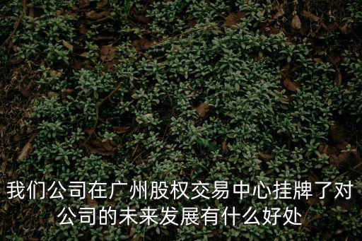 我們公司在廣州股權交易中心掛牌了對公司的未來發(fā)展有什么好處