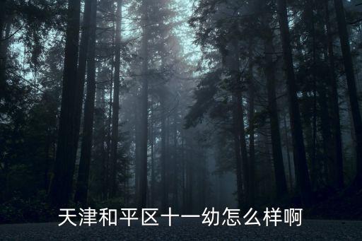 天津市的集體幼兒園，請問天津河西區南樓附近有沒有私立幼兒園