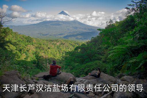天津長蘆漢沽鹽場有限責(zé)任公司的領(lǐng)導(dǎo)