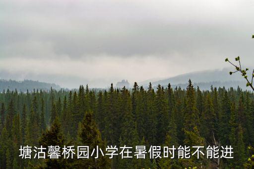 塘沽馨橋園小學在暑假時能不能進