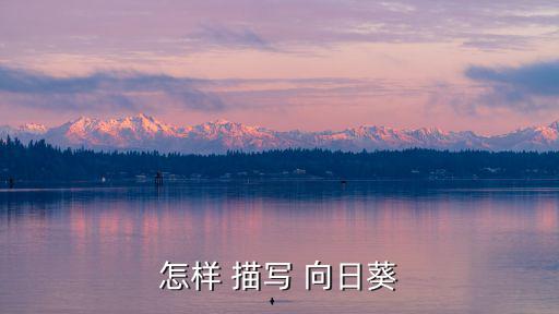 向日葵的樣子描寫,向日葵開花結(jié)果