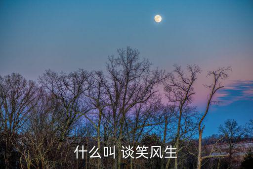 什么叫 談笑風生