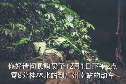 你好請問我購買了12月1日下午2點零8分桂林北站到廣州南站的動車