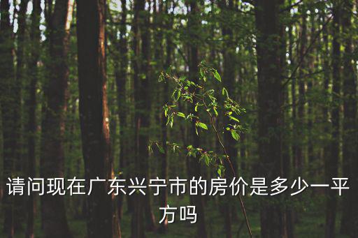請問現(xiàn)在廣東興寧市的房價(jià)是多少一平方嗎