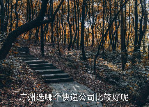 廣州物流公司的哪些，廣州除了中遠威時沛貨運跨境物流做的比較好的之外還有哪家做的不