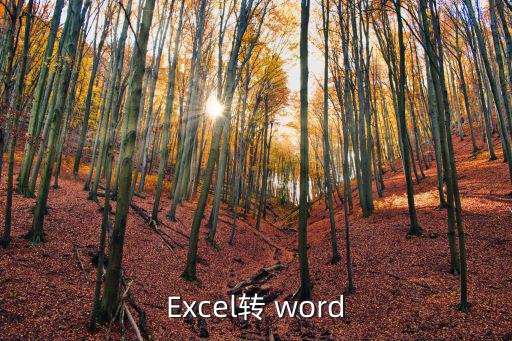 Excel轉(zhuǎn) word