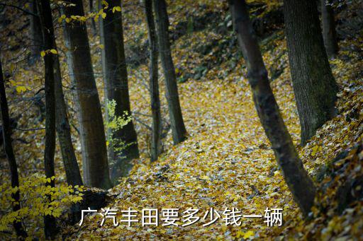 廣汽豐田要多少錢一輛