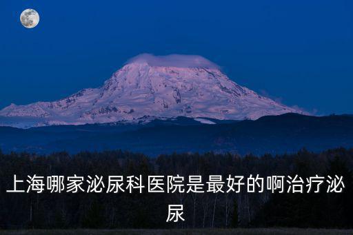 上海哪家醫(yī)院泌尿科專長，上海哪家醫(yī)院有專業(yè)泌尿科