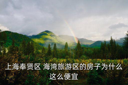 上海奉賢區(qū) 海灣旅游區(qū)的房子為什么這么便宜