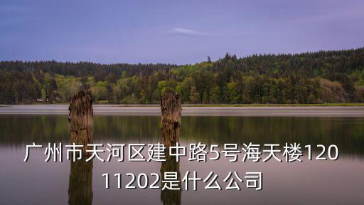 廣州市天河區建中路5號海天樓12011202是什么公司