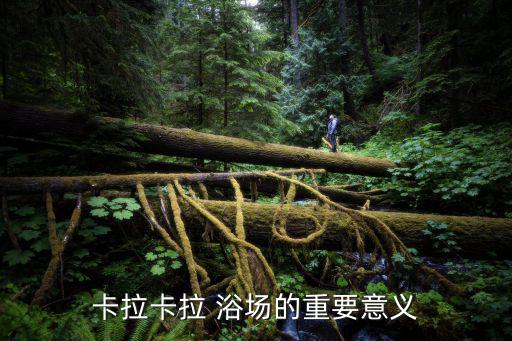 卡拉卡拉 浴場的重要意義