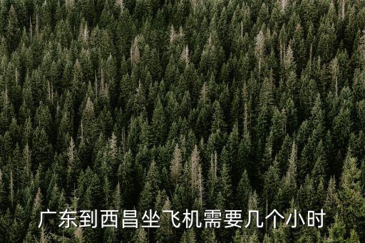 廣東到西昌坐飛機(jī)需要幾個小時