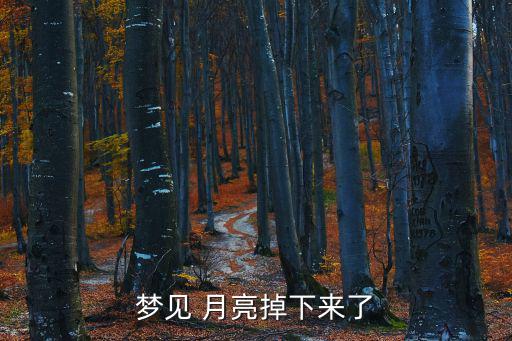 夢見 月亮掉下來了