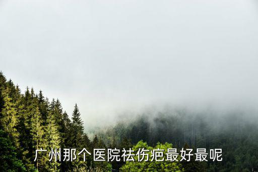 廣州那個醫(yī)院祛傷疤最好最呢
