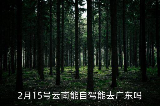 云南去廣州高速公路能走嗎，云南廣南去廣東中山的高速公路現(xiàn)在通行嗎