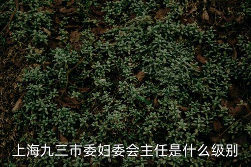 九三學社上海市委員會待遇，珠海 九三學社待遇怎么樣