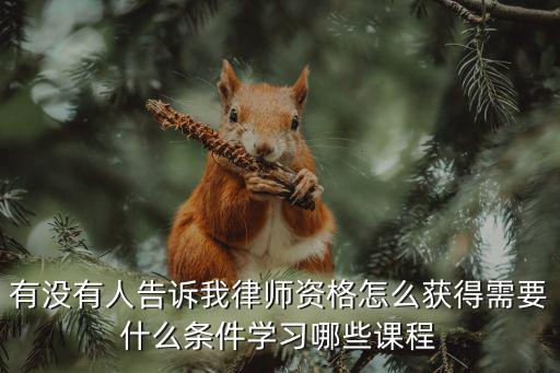 有沒(méi)有人告訴我律師資格怎么獲得需要什么條件學(xué)習(xí)哪些課程