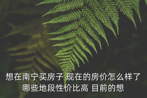 想在南寧買房子 現在的房價怎么樣了哪些地段性價比高 目前的想