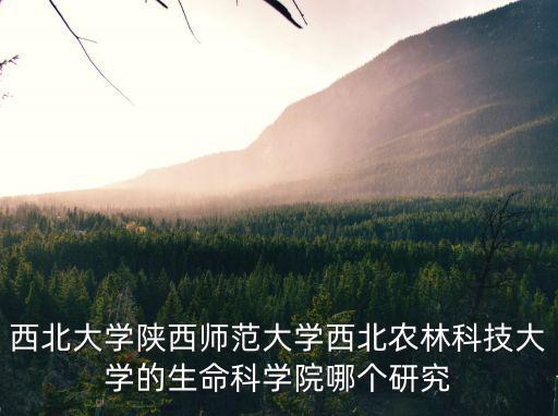 西北大學陜西師范大學西北農林科技大學的生命科學院哪個研究