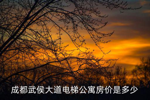 成都武侯大道電梯公寓房?jī)r(jià)是多少