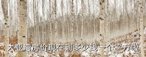 大亞灣房價現在到多少錢一個平方啦