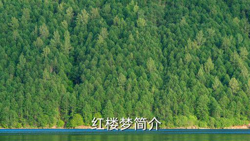  紅樓夢(mèng)簡(jiǎn)介