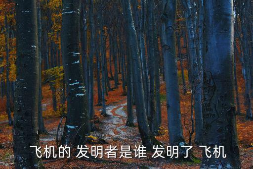 發明飛機,美國萊特兄弟成為飛機發明界公認人物