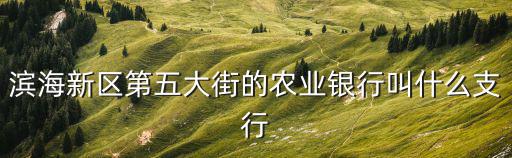 濱海新區第五大街的農業銀行叫什么支行