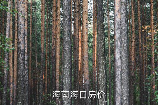 海南?？诜績r