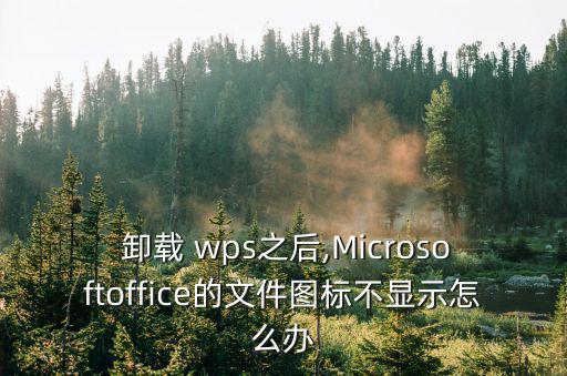  卸載 wps之后,Microsoftoffice的文件圖標不顯示怎么辦