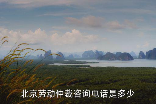 北京朝陽(yáng)區(qū)仲裁電話，北京勞動(dòng)仲裁咨詢電話是多少