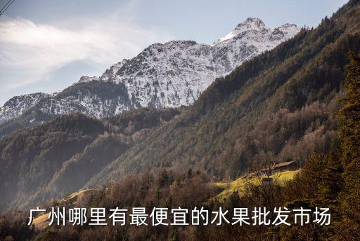 廣州哪里有最便宜的水果批發市場