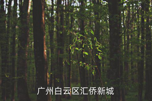 廣州市白云區新開新盤，廣州白云區