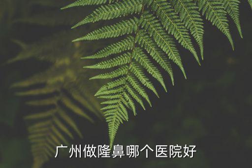 廣州做隆鼻哪個醫院好